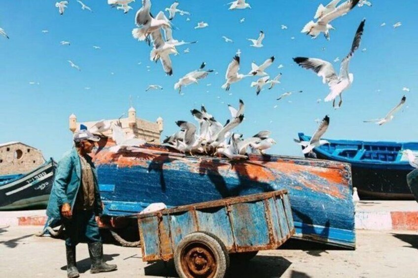 Luxury Private Day Trip to Essaouira From Marrakech 1