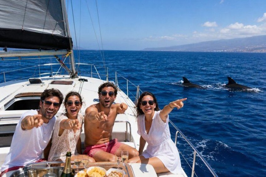 A sailboat with people on deck, dolphins in the water, and a clear blue sky. 3