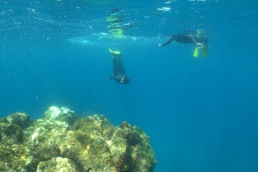 Two divers underwater near a rocky seabed. 3