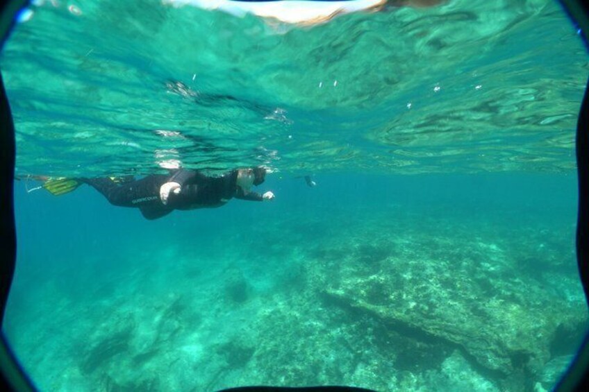 A diver underwater with a clear view of the ocean floor. 2