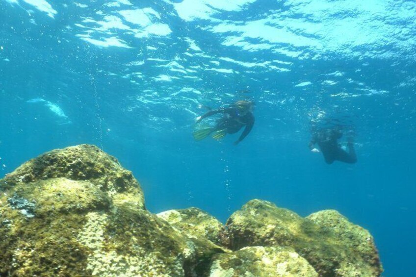 Two divers underwater near rocky formations. 4