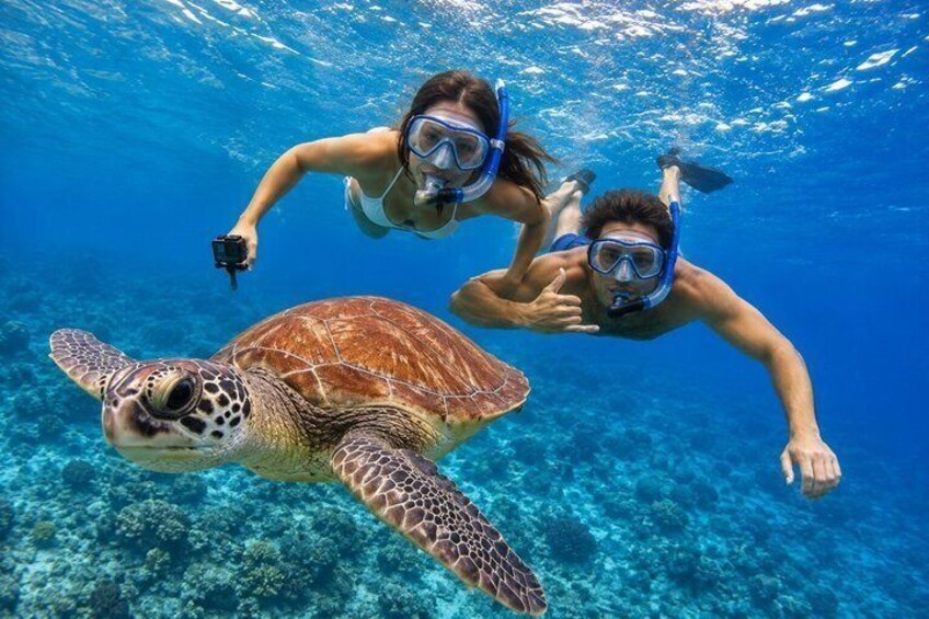 Two people snorkeling with a sea turtle in clear blue water. 1