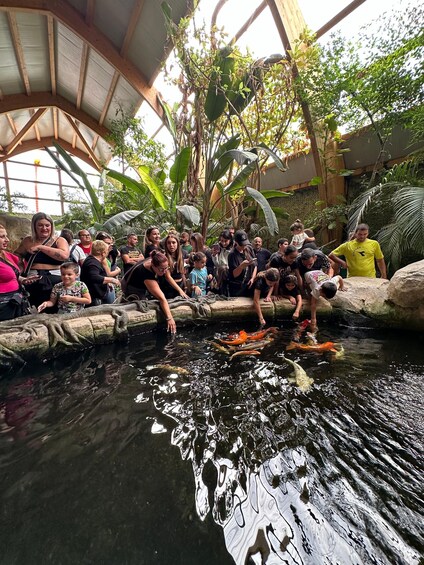 A group of people around a pond with koi fish, surrounded by tropical plants and a wooden structure. 2