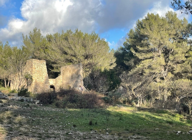 A stone ruin surrounded by trees and grass. 5