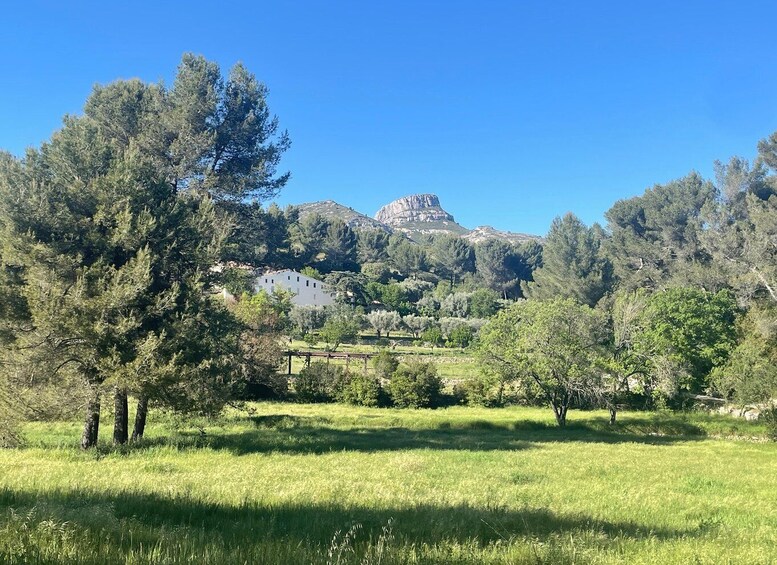 Picture 1 for Activity Aubagne: Watercolor sketch hike in the Garlaban hills 4