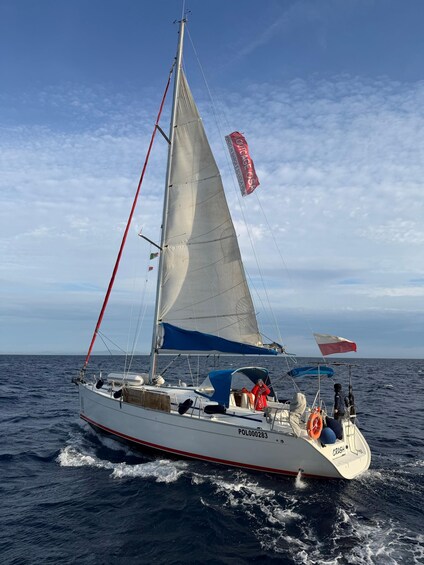 Picture 7 for Activity Golfo Aranci: Sunset in Figarolo on a Sailing Boat with Aperitivo and Dolphins 3
