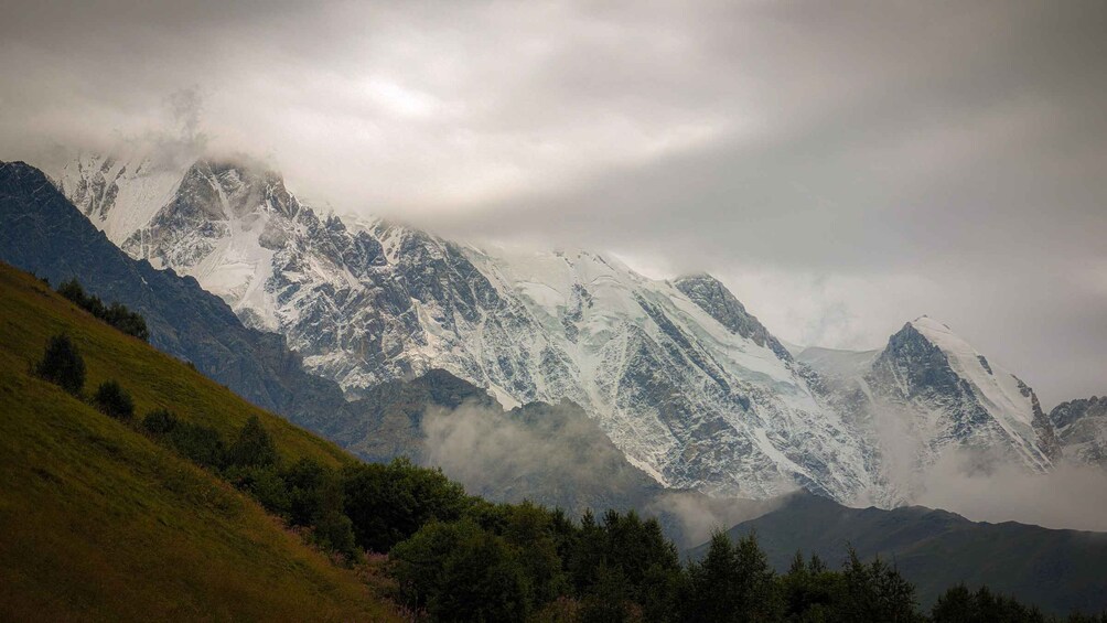 Snow-capped mountains, a grassy hillside, and a valley with trees. 5