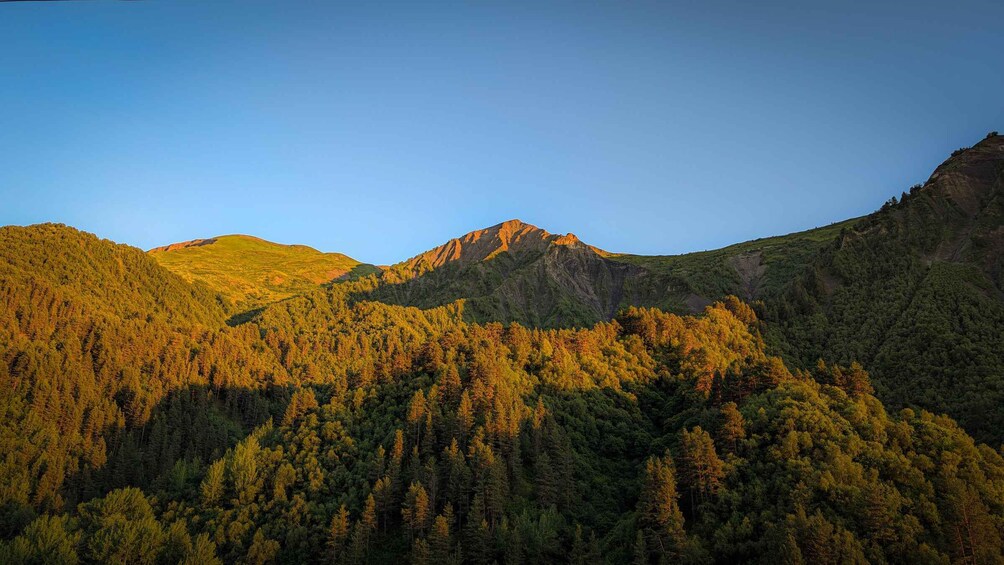 A mountain range with dense forests and a clear sky. 2