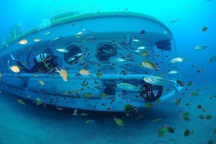 A submerged vehicle surrounded by fish. 2