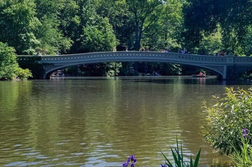 A stone bridge over a calm river, surrounded by lush greenery. 5