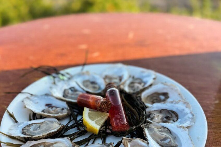 A plate of oysters with lemon wedges and seaweed on a wooden table. 2