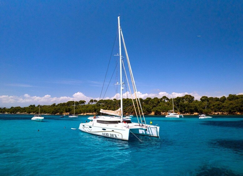 A white sailboat named 'Moby Dick' anchored in turquoise waters with other boats in the background and a forested coastline. 1