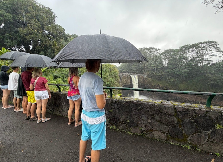 A group of people standing on a road, some holding umbrellas, overlooking a waterfall. 2