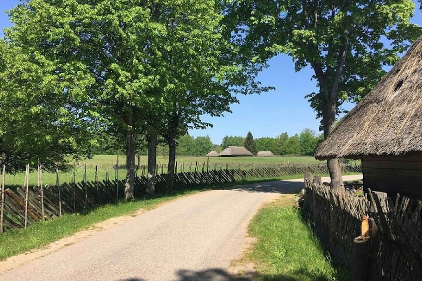 A rural road flanked by trees and a thatched-roof building. 1