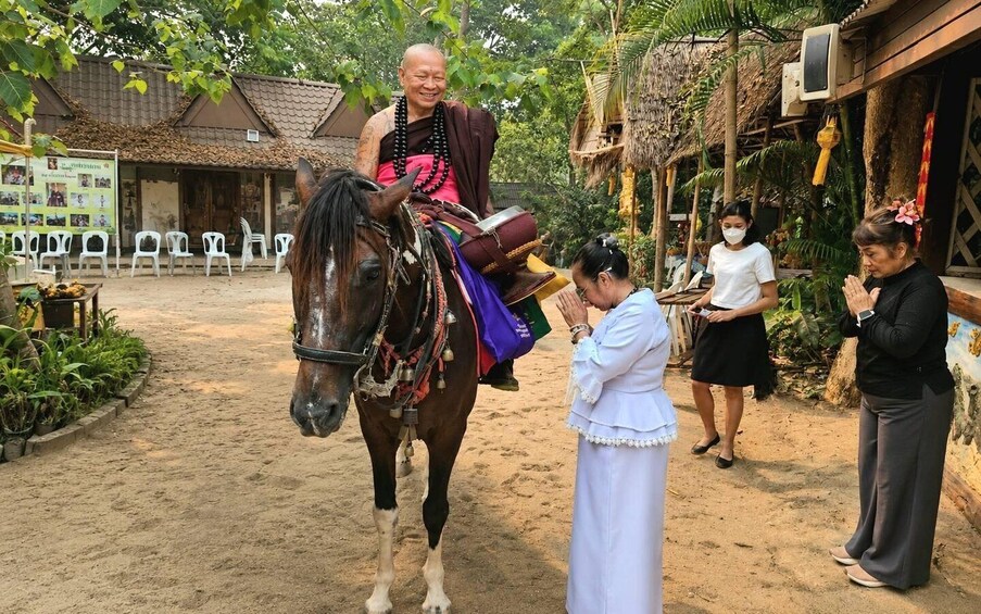 A person on a horse in a courtyard with a traditional building and plants. 2