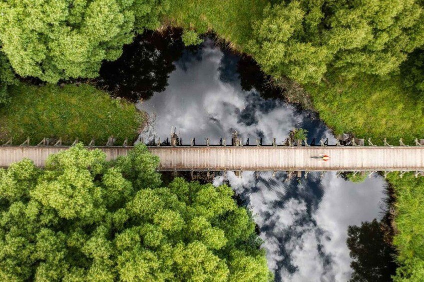 A wooden bridge over a reflective water body surrounded by dense green foliage. 4