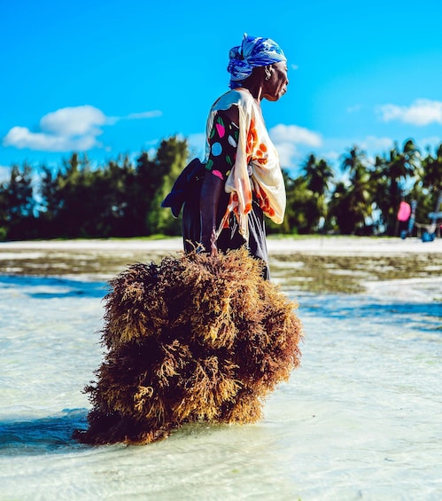A person standing on a large, brown, fibrous object in shallow water, with a clear sky and palm trees in the background. 3