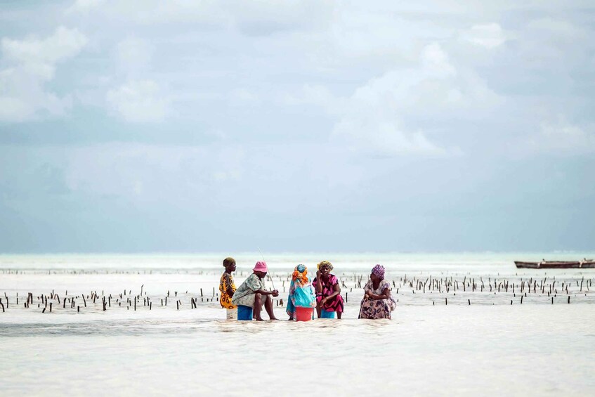 A group of people on a beach with a boat in the distance. 4