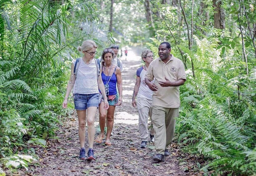A group of people walking on a forest path surrounded by dense foliage. 5
