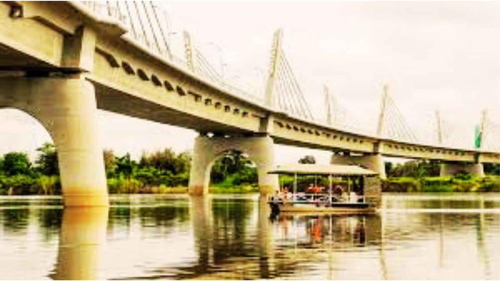 A bridge with cables, a boat with people, and greenery in the background. 4