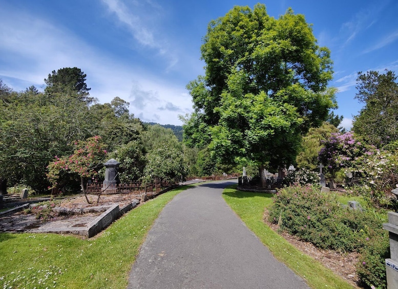 A cemetery with a paved path, lush greenery, and a large tree. 4