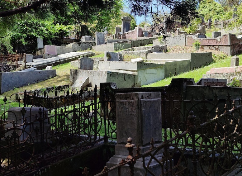 A cemetery with numerous tombstones and headstones, surrounded by a wrought iron fence. 3