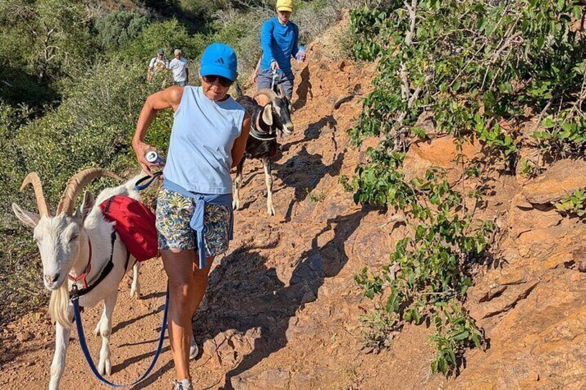 A person hiking with a goat on a rocky trail. 4