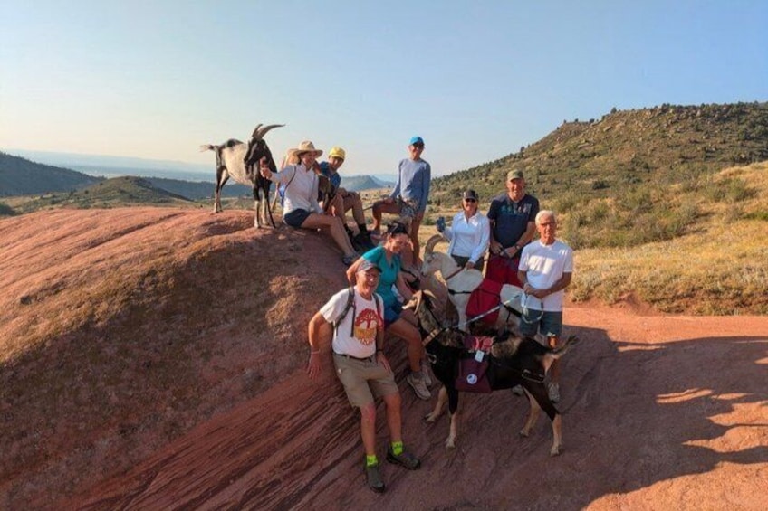 Goat hiking adventure near Morrison 5