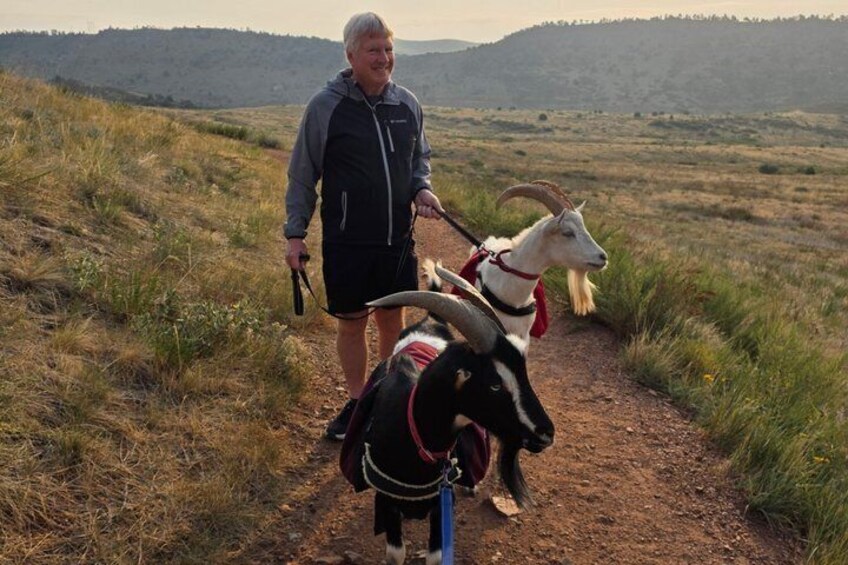 Goat hiking adventure near Morrison 1