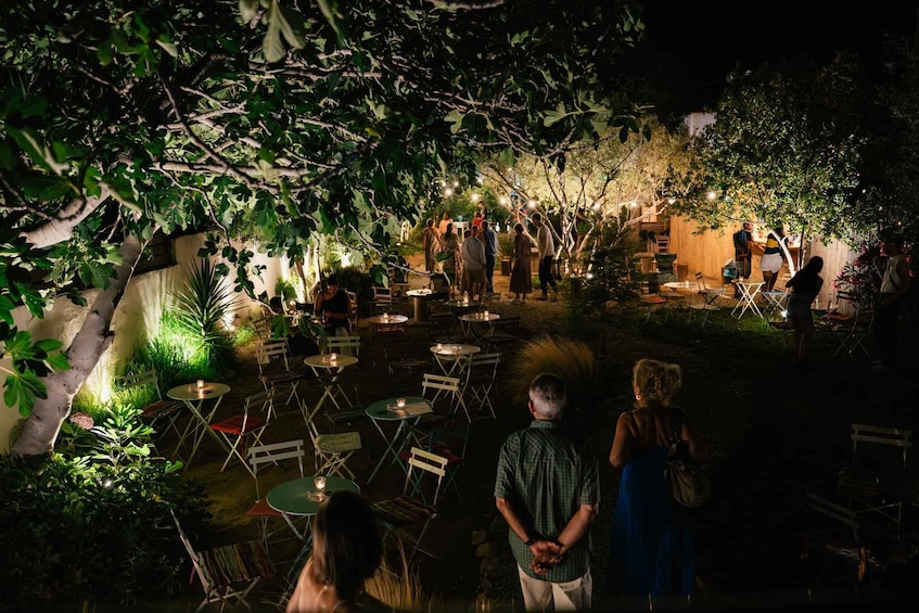 An outdoor gathering with tables and chairs under trees, surrounded by greenery. 3