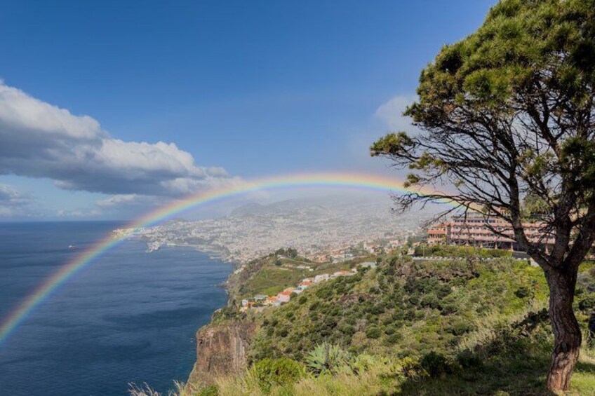 Eine Küstenlandschaft mit Regenbogen, Baum und Gebäude. 1