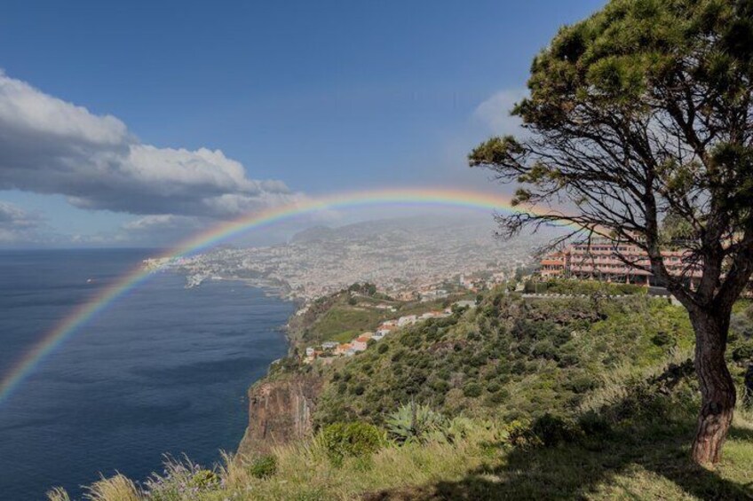 A coastal landscape with a rainbow, a tree, and a distant city. 1