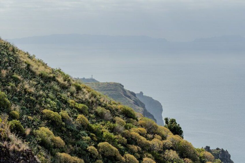 A coastal landscape with rolling hills, dense shrubbery, and a distant view of the ocean. 2