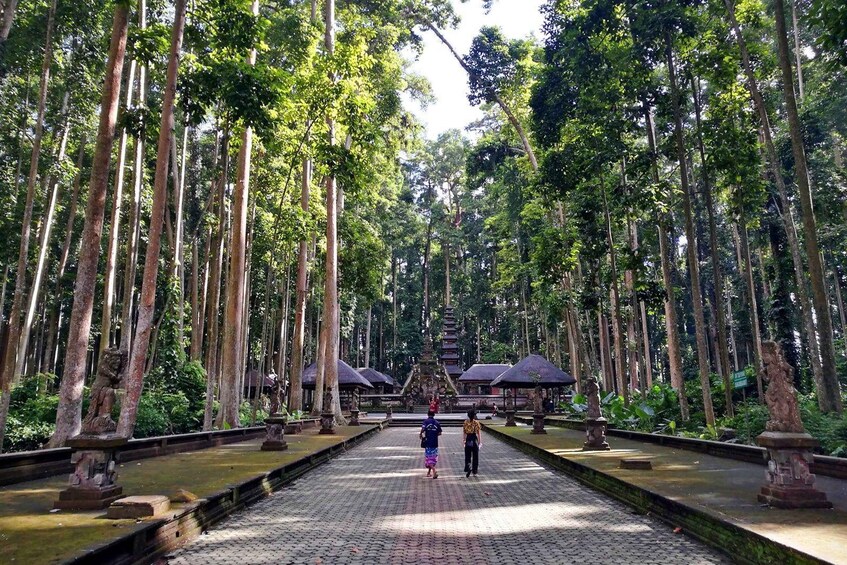 A pathway lined with tall trees leading to a temple structure. 1