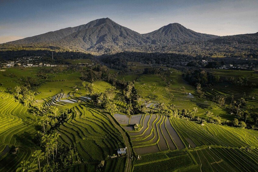 Terraced rice fields, a mountain, and a small settlement. 3