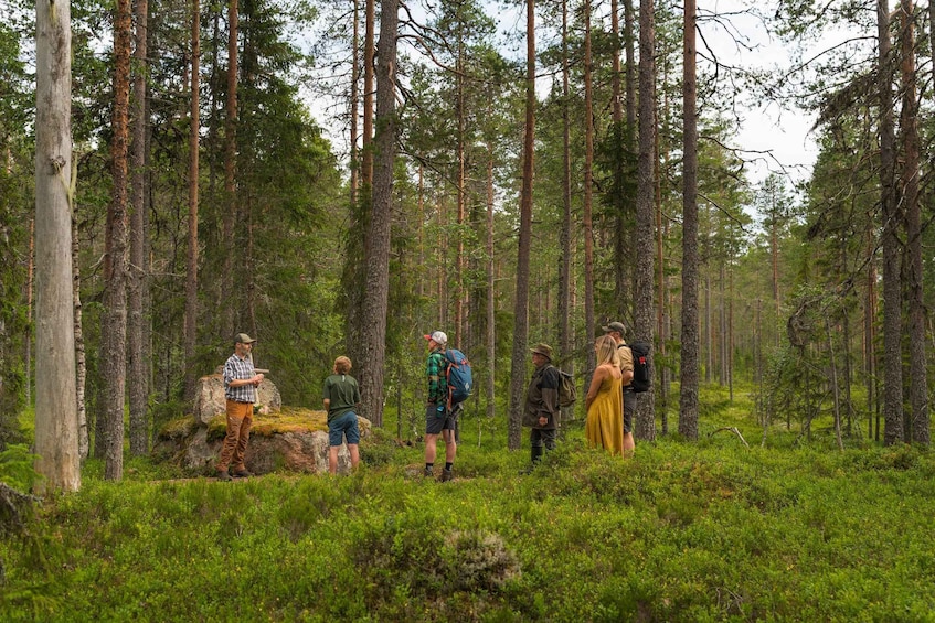 A group of people hiking in a dense forest with tall pine trees. 5