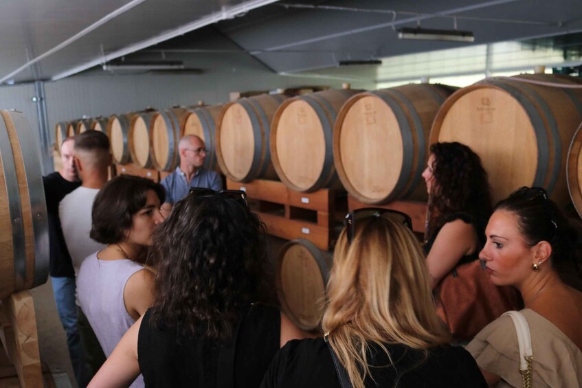 A group of people in a wine cellar with rows of wooden barrels. 5