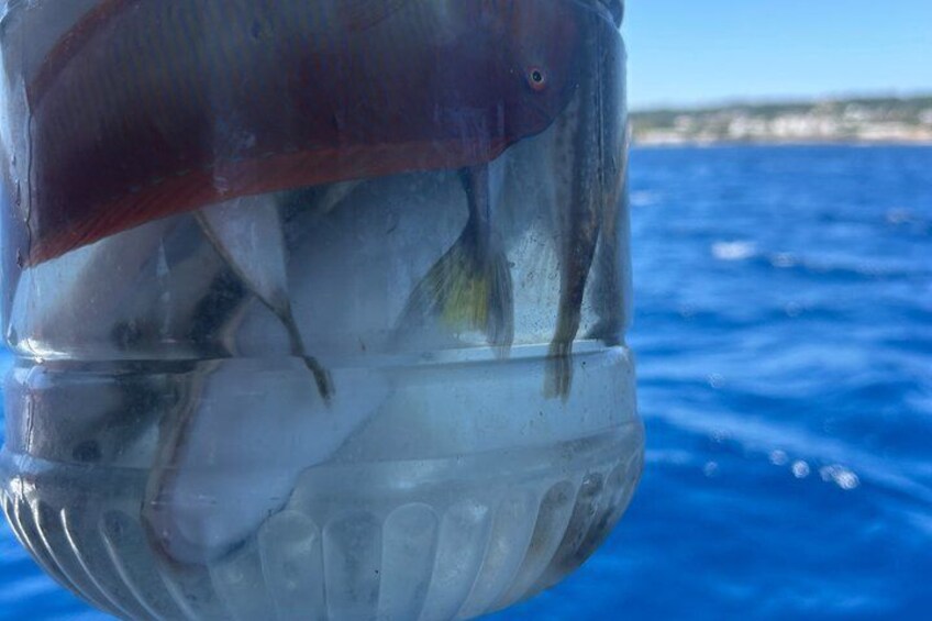 A clear glass container with ice and fish inside, floating on water. 2