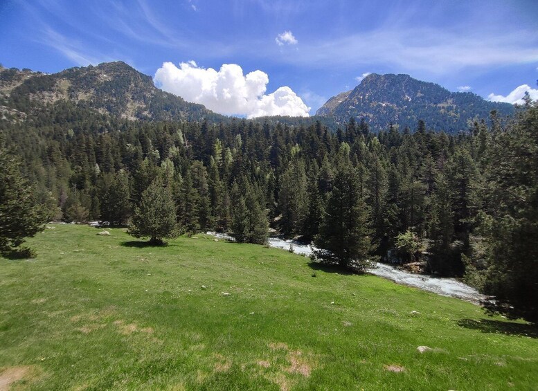 Picture 4 for Activity Easy route through Aigüestortes: waterfalls and Estany de Llebreta 5