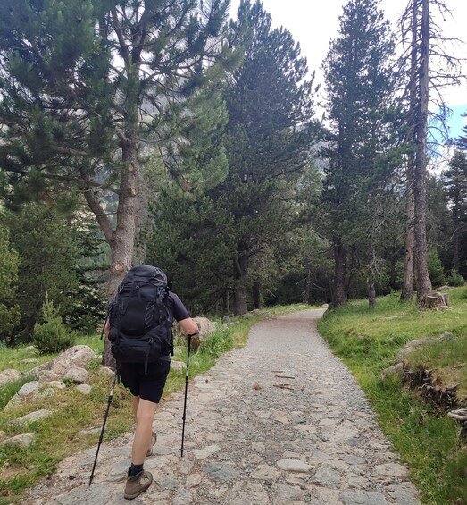 Picture 3 for Activity Easy route through Aigüestortes: waterfalls and Estany de Llebreta 4