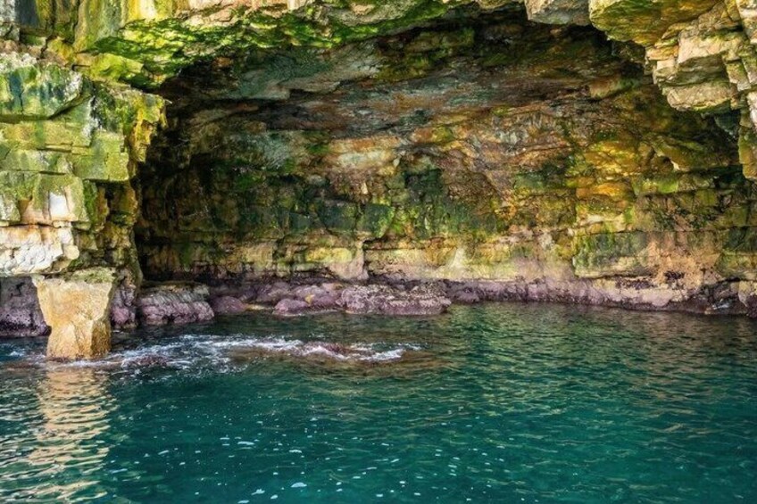 A cave entrance with water flowing into it. 4