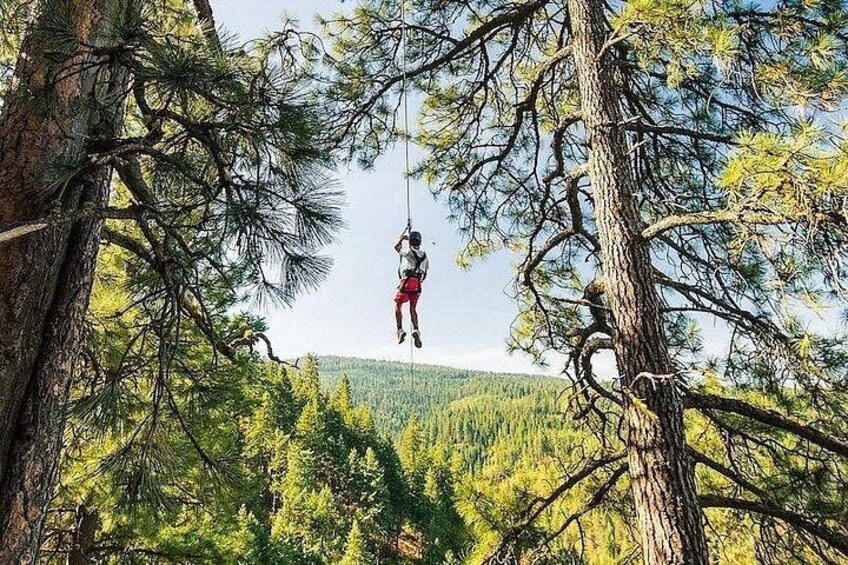 A person suspended in mid-air by a rope, surrounded by trees and a mountainous landscape. 2