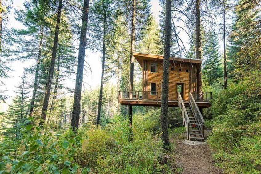 Lake Coeur d'Alene Zipline Tour 4