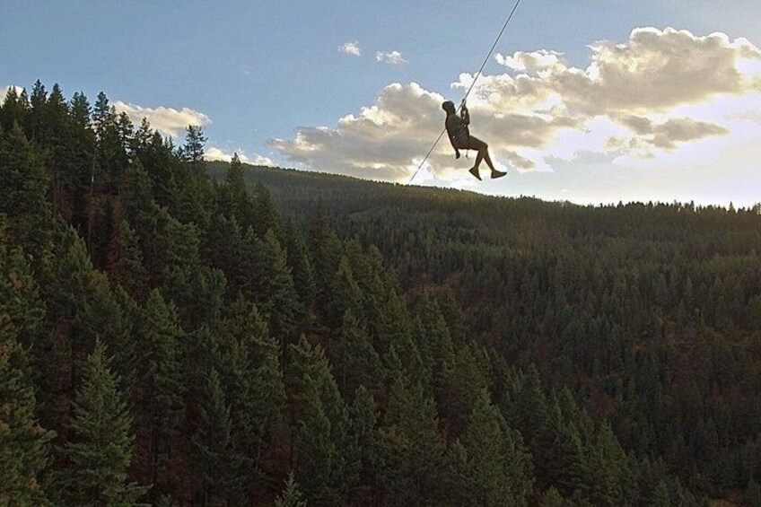 A person zip-lining over a dense forest. 3