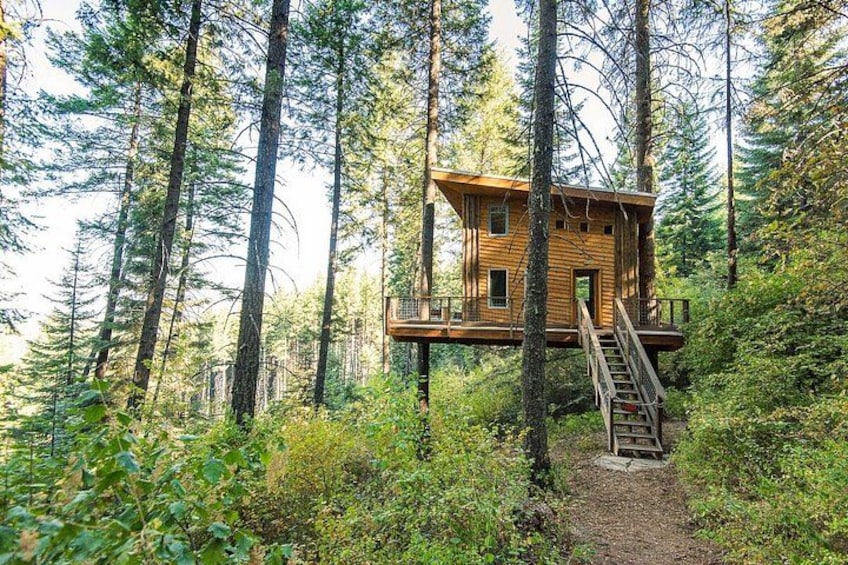 A wooden cabin in a forest with a wooden staircase leading up to it. 3