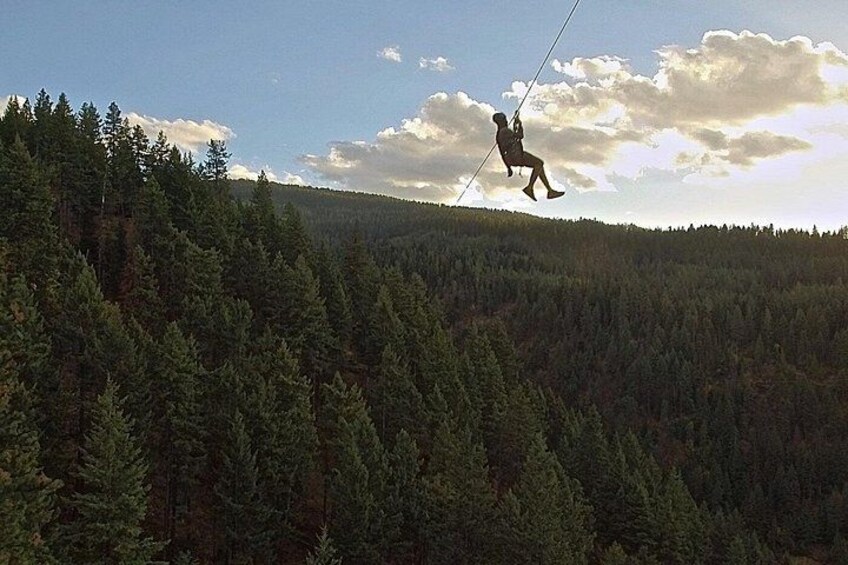 A person zip-lining over a dense forest. 2