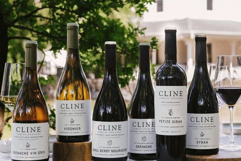 Enchanted Napa and Sonoma Wine Tour from San Jose 3