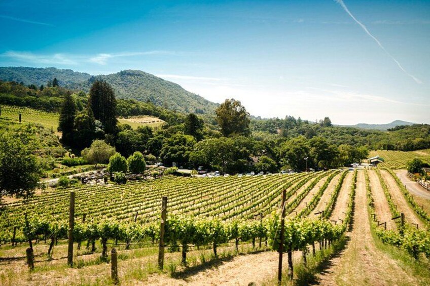 Enchanted Napa and Sonoma Wine Tour from San Jose 4