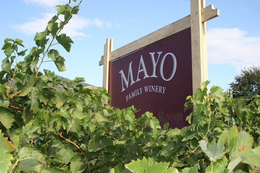 Enchanted Napa and Sonoma Wine Tour from San Jose 2