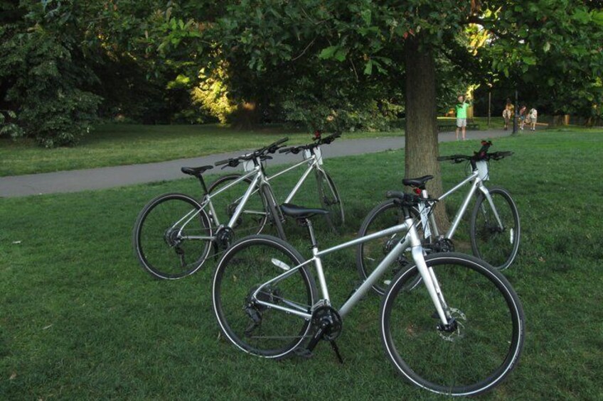 Three bicycles parked on a grassy area with trees and a walking path in the background. 4